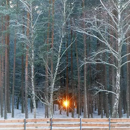 House Gallery Casa vacanze *