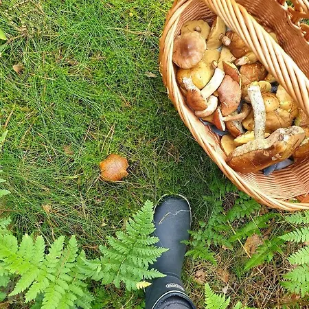 House Gallery Casa vacanze