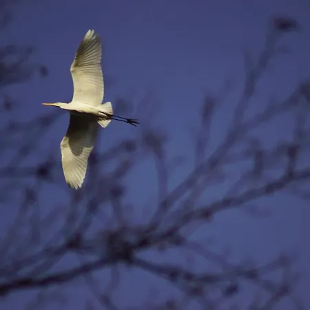 Hébergement de vacances House Gallery *