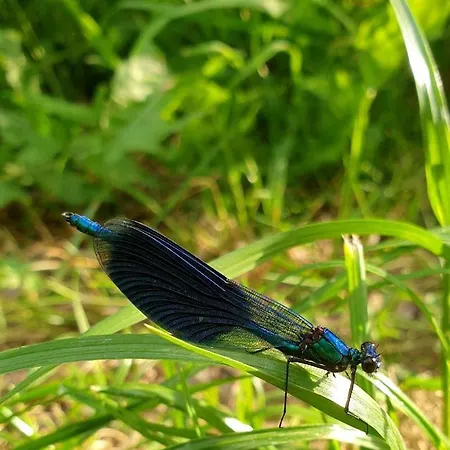 Casa vacanze House Gallery