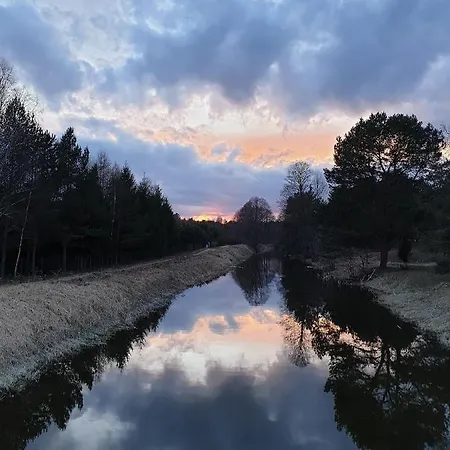 House Gallery * Borsk