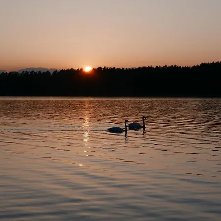 House Gallery Casa vacanze