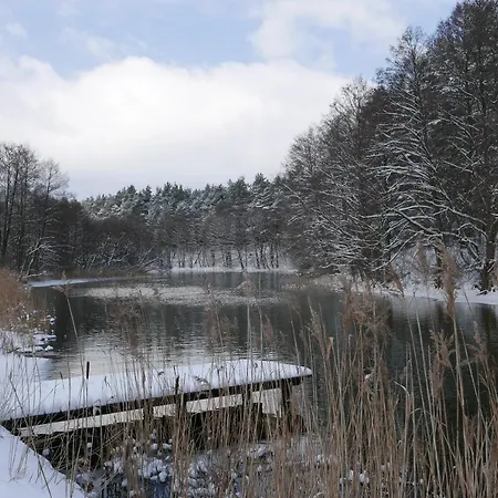 Casa vacanze House Gallery Borsk