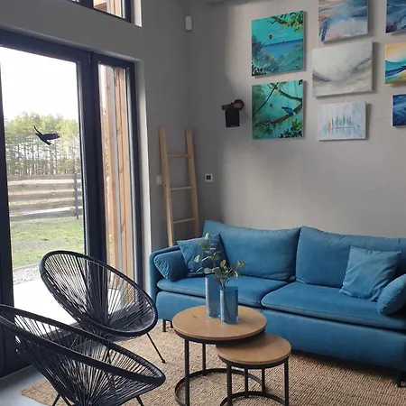 Casa vacanze House Gallery Borsk