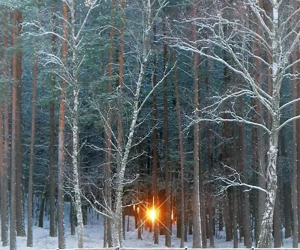 House Gallery Semesterbostad *