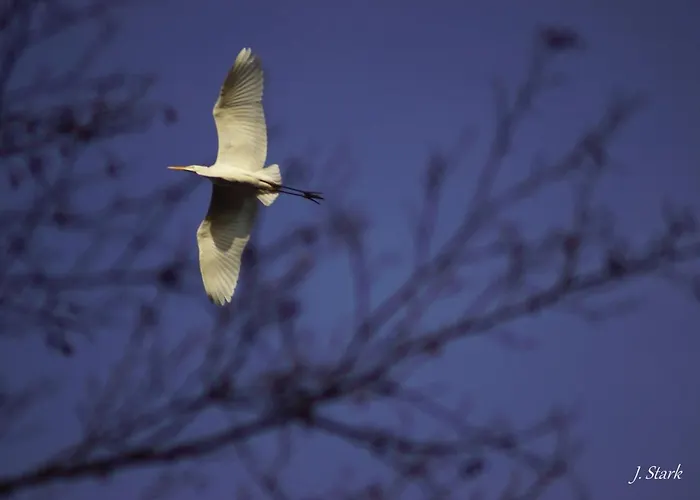 Semesterbostad House Gallery *