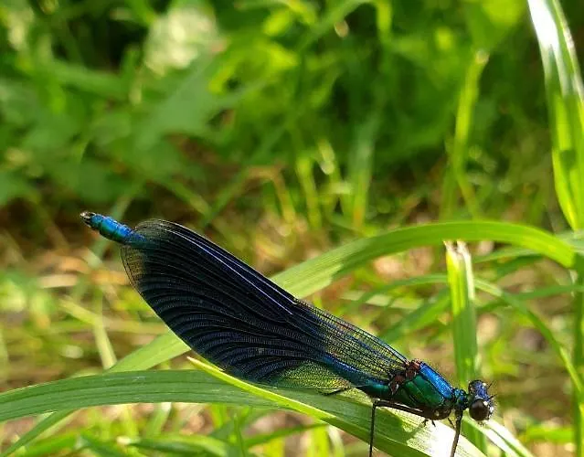 בית נופש House Gallery