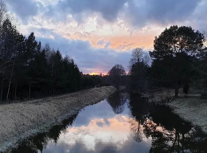 House Gallery * Borsk