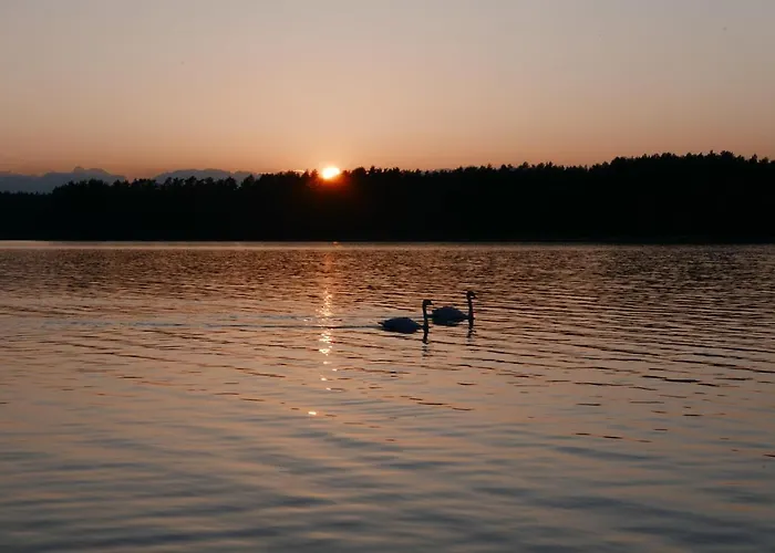 House Gallery Semesterbostad