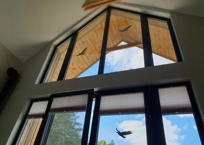 House Gallery Hébergement de vacances Borsk