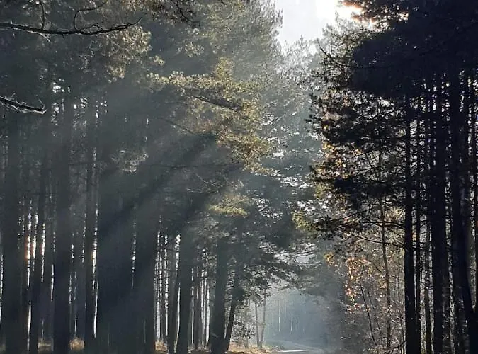 House Gallery Hébergement de vacances