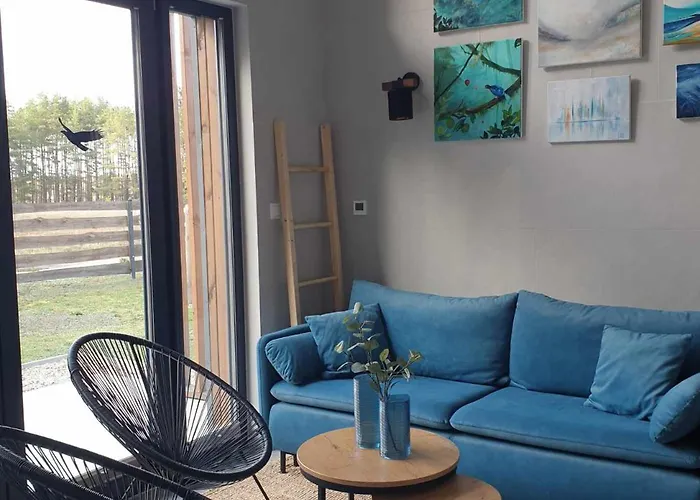 Hébergement de vacances House Gallery Borsk